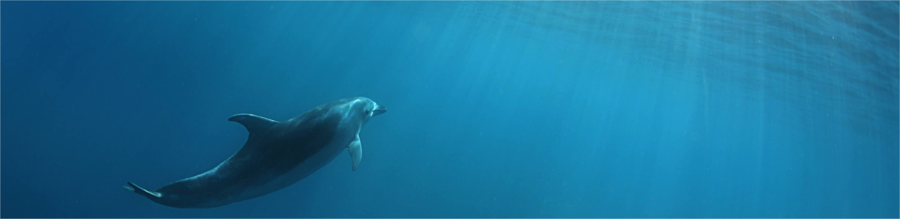 測試企業CI溝通智能方案 2